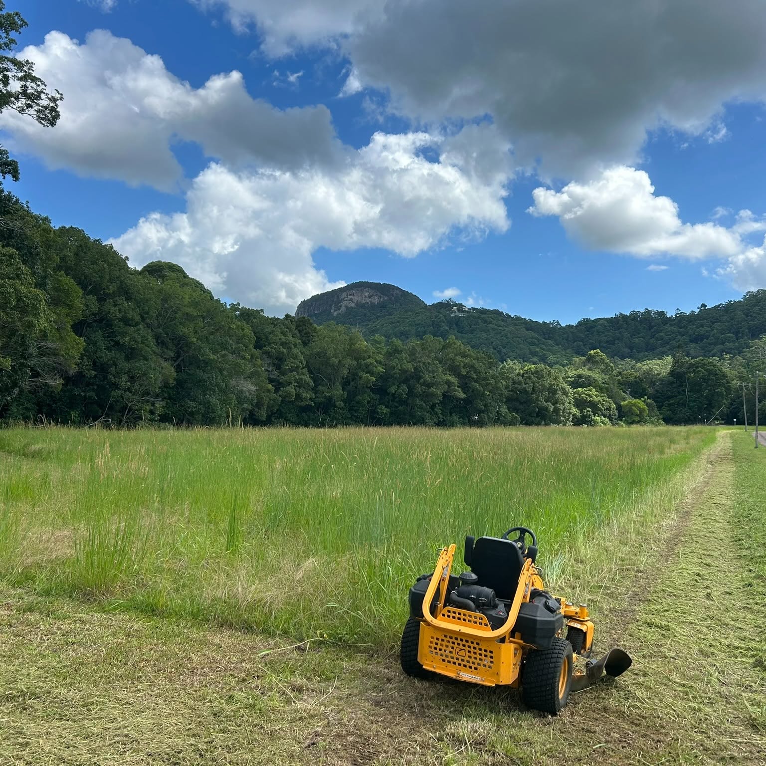 Lawn Detailing